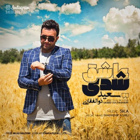 Ashegh Shodi