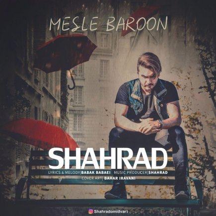 Mesle Baroon