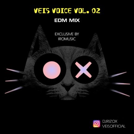 Veis Voice Podcast Vol. 2