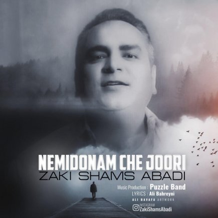 Nemidoonam Chejoori