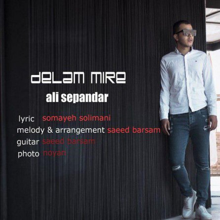 Delam Mire