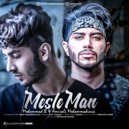 Mesle Man