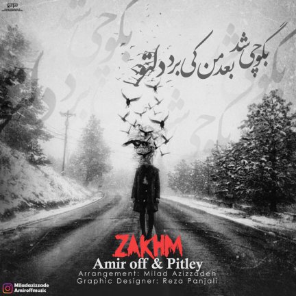 Zakhm