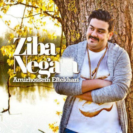 Ziba Negara
