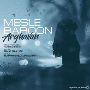 Mesle Baroon