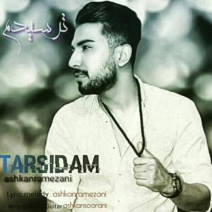 Tarsidam