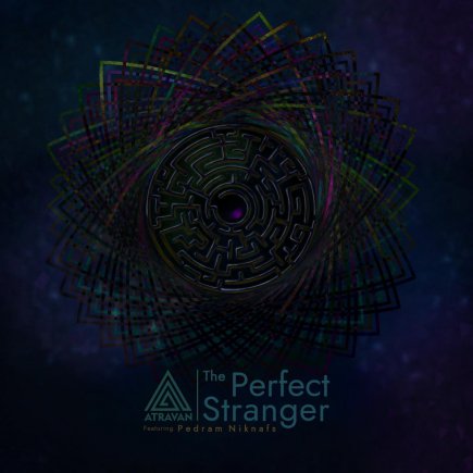 The Perfect Stranger