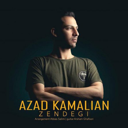 Zendegi