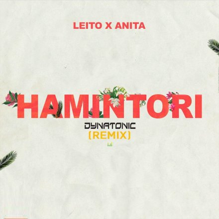 Hamintori - Daynatonic Remix