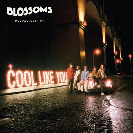 Cool Like You - Deluxe