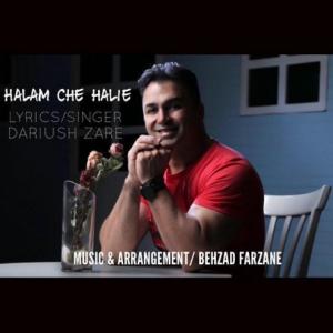 Halam Che Halie