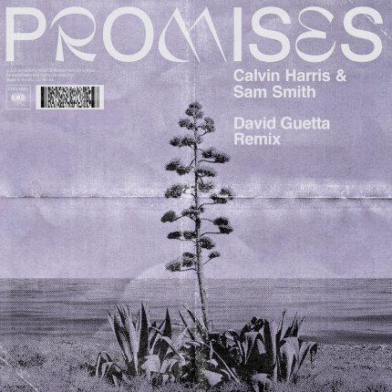 Promises - David Guetta Extended Remix