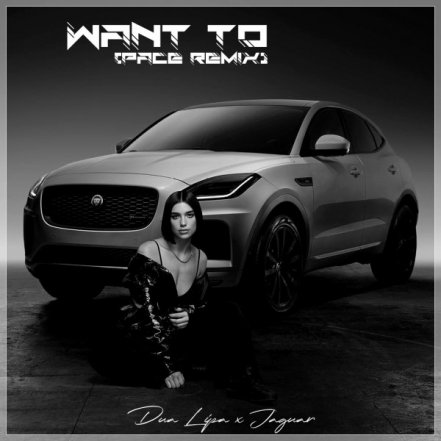 Want To - Pace Remix