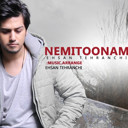 Nemitoonam