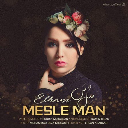 Mesle Man