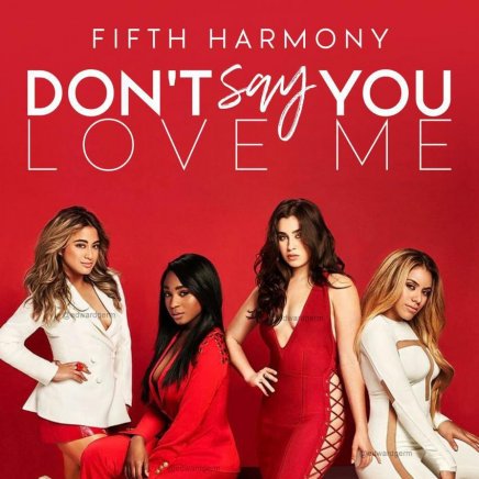 Dont Say You Love Me