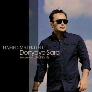 Donyaye Sard