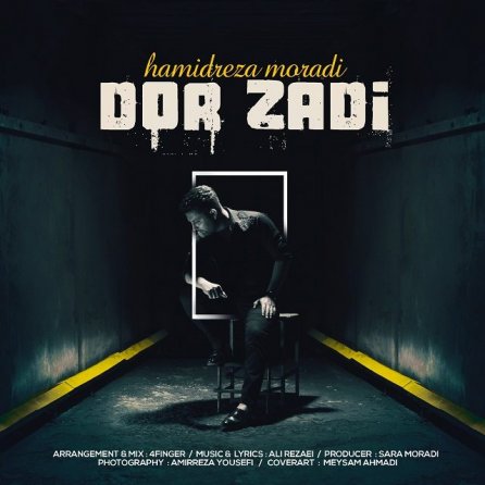 Dor Zadi