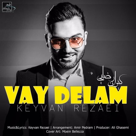 Vay Delam