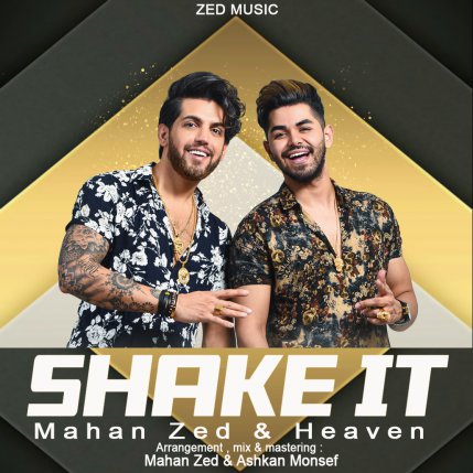 Shake It