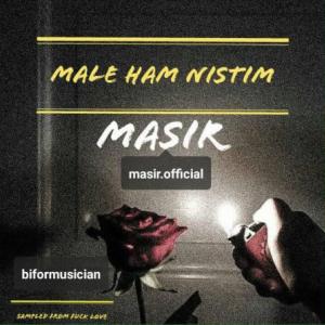 Male Ham Nistim