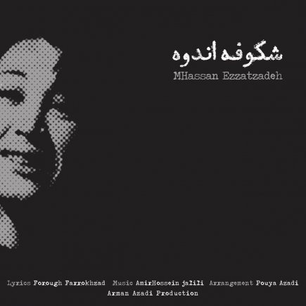 Shokoofeh Andooh