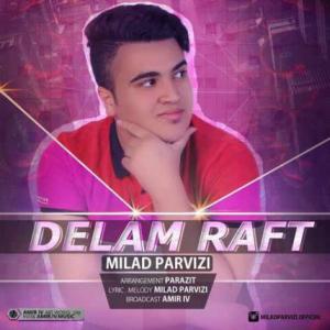 Delam Raft