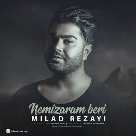 Nemizaram Beri