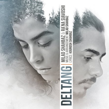 Deltang