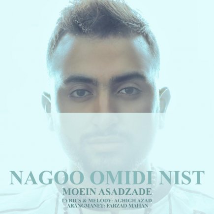 Nagoo Omidi Nist