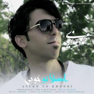 Aslan To Khobi