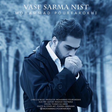Vase Sarma Nist