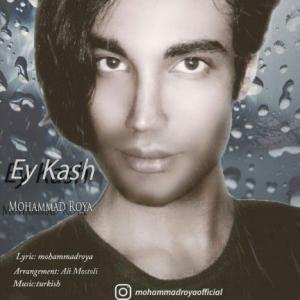 Ey Kash