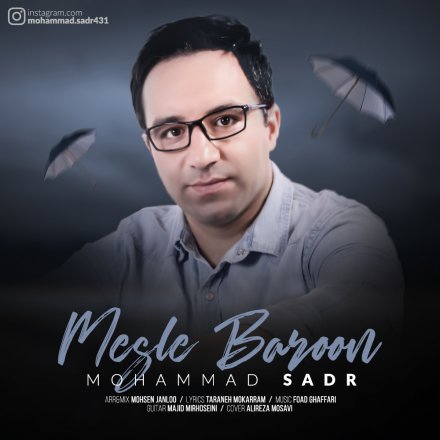 Mesle Baroon