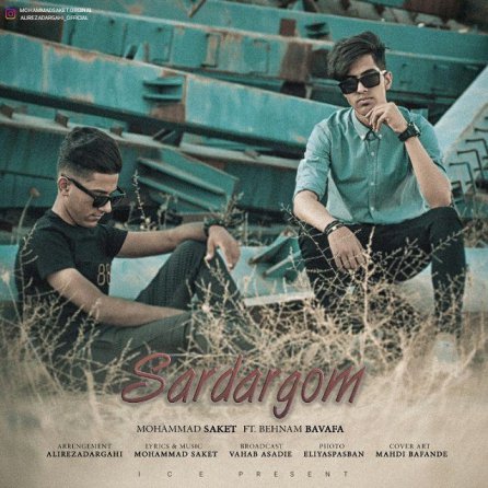 Sardargom
