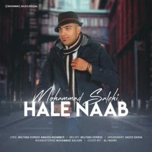 Hale Naab