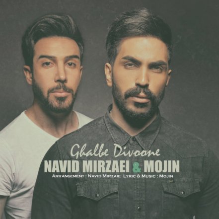 Ghalbe Divoone