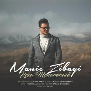 Manie Zibayi