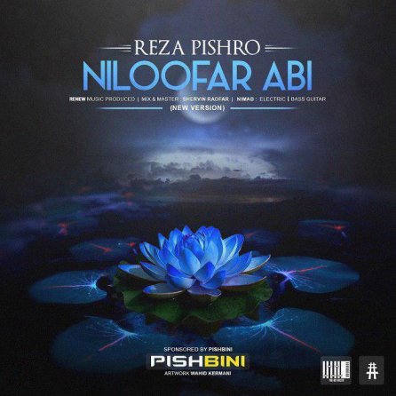 Niloofar Abi - New Version