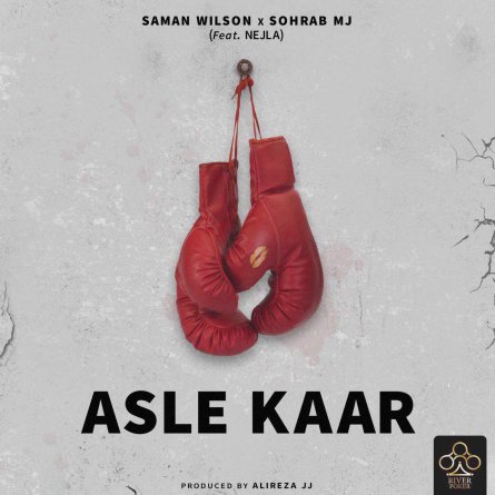 Asle Kaar
