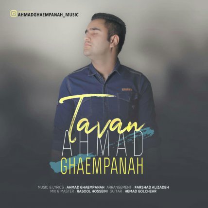 Tavan