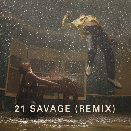Show Me Love - Remix