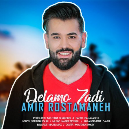 Delamo Zadi