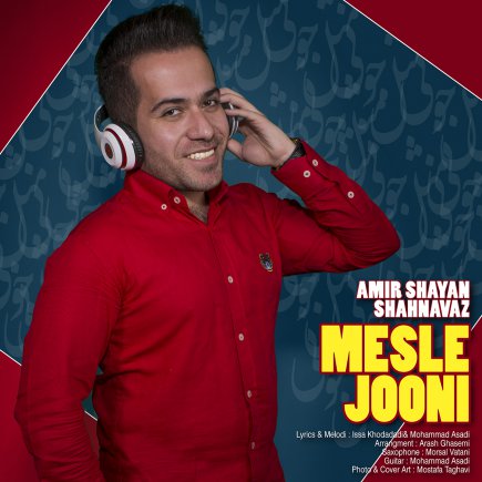 Mesle Jooni
