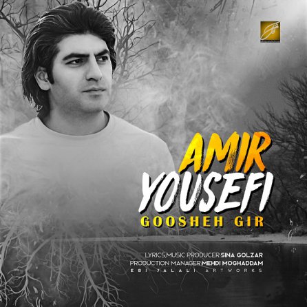 Goosheh Gir