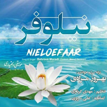 Nieloefaar