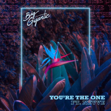 Youre The One