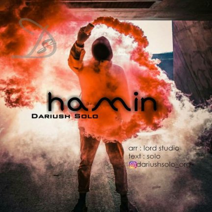 Hamin