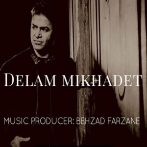 Delam Mikhadet