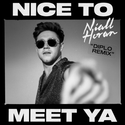 Nice To Meet Ya - Remix
